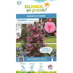 Camelia hybride Spring Festival 80cm de Plantes Silence ça pousse dans Plantes à petits fruits (kiwi, myrtilles, groseilles, ...