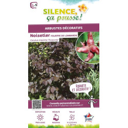 CORYLUS MAX,PURPUREA C4,5 TF/BU de Plantes Silence ça pousse dans Arbustes caducs en livraison