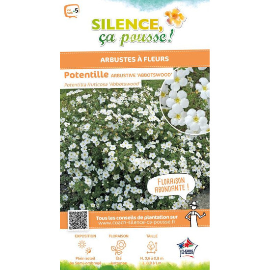 POTENTILLA FR,ABBOTSWOOD C4,5 TF/BU de Plantes Silence ça pousse dans Arbustes caducs en livraison
