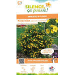 Potentille arbustive Goldfinger 50cm de Plantes Silence ça pousse dans Arbustes caducs en livraison