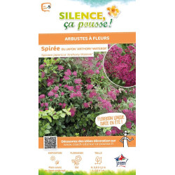 Spiree du Japon Anthony Waterer 50cm de Plantes Silence ça pousse dans Arbustes caducs en livraison