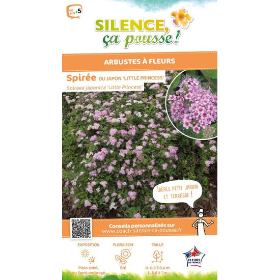 Spiree du Japon Little Princess 50cm de Plantes Silence ça pousse dans Arbustes caducs en livraison