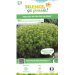 Pin rouge du Japon Alice Verkade 80cm de Plantes Silence ça pousse dans Conifères de rocailles en livraison