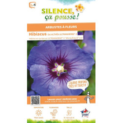 HIBISCUS SY,ULTRAMARINE R II C4,5 TF/BU de Plantes Silence ça pousse dans Arbustes caducs en livraison
