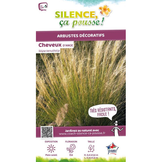 Cheveux dAnge 65cm Silence ca pousse de Plantes Silence ça pousse dans Graminées en livraison