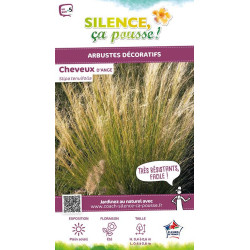 Cheveux dAnge 65cm Silence ca pousse de Plantes Silence ça pousse dans Graminées en livraison