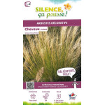 Cheveux dAnge 65cm Silence ca pousse de Plantes Silence ça pousse dans Graminées en livraison