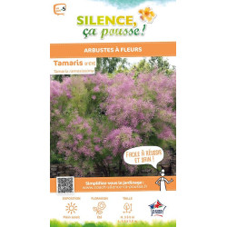TAMARIX RAMOSISSIMA VT C4,5 TF/BU de Plantes Silence ça pousse dans Arbustes caducs en livraison