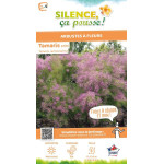 TAMARIX RAMOSISSIMA VT C4,5 TF/BU de Plantes Silence ça pousse dans Arbustes caducs en livraison