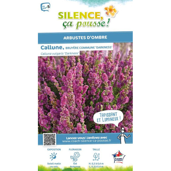 CALLUNA V,DARKNESS C2 V de Plantes Silence ça pousse dans Plantes à petits fruits (kiwi, myrtilles, groseilles, cassis, framb...