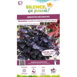 Noisetier pourpre Rote Zellernuss 80cm de Plantes Silence ça pousse dans Arbustes caducs en livraison
