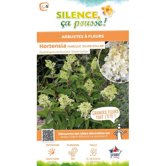 HYDRANGEA P,SILVER DOLLAR C10 TF/BU de Plantes Silence ça pousse dans Arbustes caducs en livraison