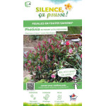 Photinia hybride Little Red Robin 50cm de Plantes Silence ça pousse dans Arbustes persistants en livraison