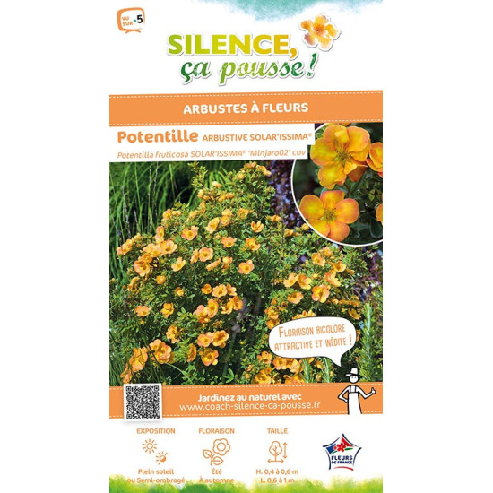 Potentille arbustive SOLARISSIMA 50cm de Plantes Silence ça pousse dans Arbustes caducs en livraison