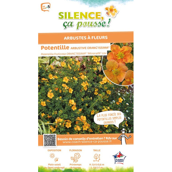 Potentille arbustive ORANGISSIMA 50cm de Plantes Silence ça pousse dans Arbustes caducs en livraison
