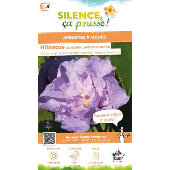 HIBISCUS SY,LAVENDER CHIFFON C4,5 TF/BU de Plantes Silence ça pousse dans Arbustes caducs en livraison
