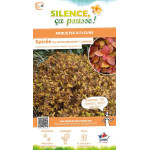 Spiree du Japon ZENSPIRIT CARAMEL 80cm de Plantes Silence ça pousse dans Arbustes caducs en livraison