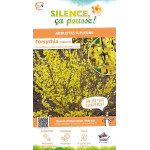 Forsythia Mindor 50cm Silence ca pousse de Plantes Silence ça pousse dans Arbustes caducs en livraison