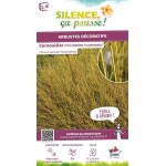 Cornouiller stolonifere Flaviramea 120cm de Plantes Silence ça pousse dans ZZ hortival