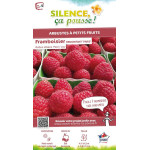 Framboisier Paris 80cm Silence ca pousse de Plantes Silence ça pousse dans Plantes à petits fruits (kiwi, myrtilles, groseill...