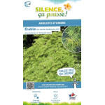 Erable du Japon lacinie Emerald Lace 80cm de Plantes Silence ça pousse dans Plantes à petits fruits (kiwi, myrtilles, groseil...