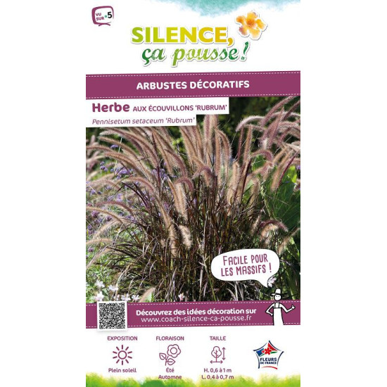 Herbe aux ecouvillons soyeuse rouge 100cm de Plantes Silence ça pousse dans Graminées en livraison