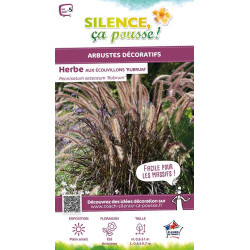 Herbe aux ecouvillons soyeuse rouge 100cm de Plantes Silence ça pousse dans Graminées en livraison