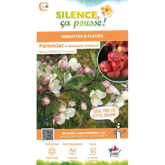 Pommier dornement Evereste PERPETU 100cm de Plantes Silence ça pousse dans Arbustes caducs en livraison
