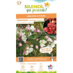 Pommier dornement Evereste PERPETU 100cm de Plantes Silence ça pousse dans Arbustes caducs en livraison