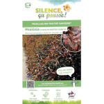 Photinia a feuilles dentees CRUNCHY 100cm de Plantes Silence ça pousse dans Arbustes persistants en livraison