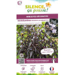 Strobilanthes anispohyllus BRUNETTHY 80cm de Plantes Silence ça pousse dans Arbustes persistants en livraison
