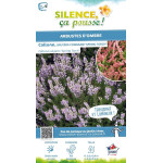 CALLUNA V,SPRING TORCH C2 V de Plantes Silence ça pousse dans Plantes à petits fruits (kiwi, myrtilles, groseilles, cassis, f...