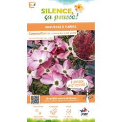 Cornouiller de Floride a fleurs roses 80cm de Plantes Silence ça pousse dans Arbustes caducs en livraison