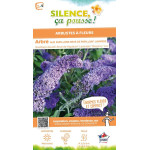 Arbre aux papillons REVE PAPILLON Lavan120 de Plantes Silence ça pousse dans Graines de fleurs en S
