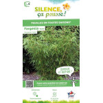 Fargesia Roux Rufa 100cm Silence ca pousse de Plantes Silence ça pousse dans Bambous en livraison