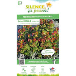 Leucothoe Curly Red 50cm Silence ca pousse de Plantes Silence ça pousse dans Plantes à petits fruits (kiwi, myrtilles, grosei...