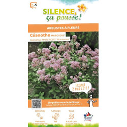 Ceanothe MARIE ROSE 65cm Silence ca pousse de Plantes Silence ça pousse dans Arbustes caducs en livraison