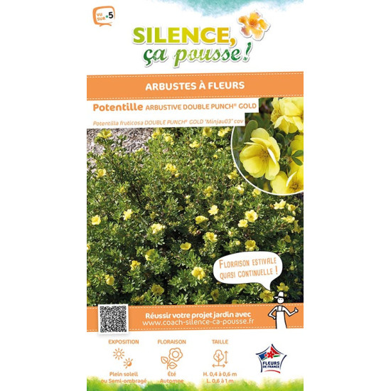 Potentille arbustive DOUBLE PUNCH GOLD 50cm de Plantes Silence ça pousse dans Arbustes caducs en livraison