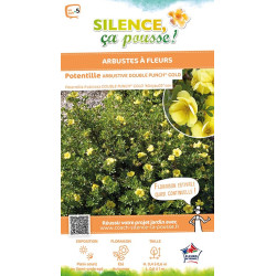 Potentille arbustive DOUBLE PUNCH GOLD 50cm de Plantes Silence ça pousse dans Arbustes caducs en livraison