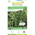 Genevrier Sabine a feuilles de Tamaris 50cm de Plantes Silence ça pousse dans Conifères de rocailles en livraison