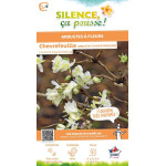 Chevrefeuille arbustif dhiver parfume 80cm de Plantes Silence ça pousse dans Plantes à petits fruits (kiwi, myrtilles, grosei...
