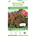 Cotoneaster laiteux 100cm Silence ca pousse de Plantes Silence ça pousse dans Plantes à petits fruits (kiwi, myrtilles, grose...