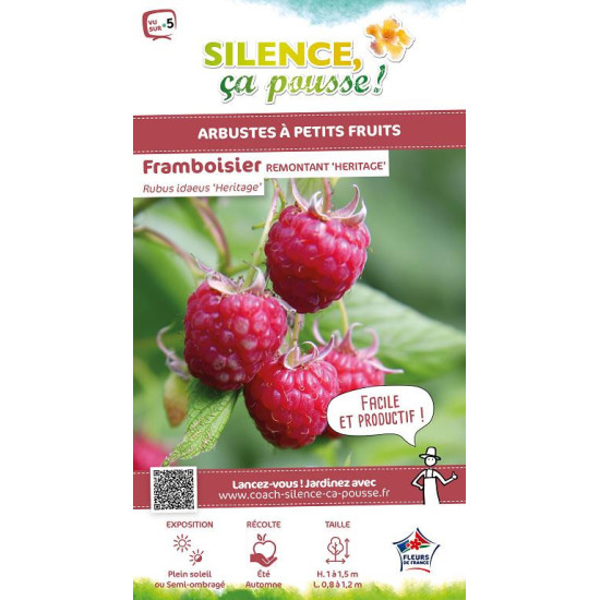 Framboisier Heritage 80cm Silence ca pousse de Plantes Silence ça pousse dans Plantes à petits fruits (kiwi, myrtilles, grose...