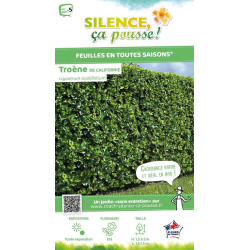 Troene de Californie 80cm Silence ca pousse de Plantes Silence ça pousse dans Plantes à petits fruits (kiwi, myrtilles, grose...