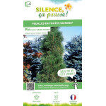 Pin noir Green Tower 80cm Silence ca pousse de Plantes Silence ça pousse dans Conifères de rocailles en livraison