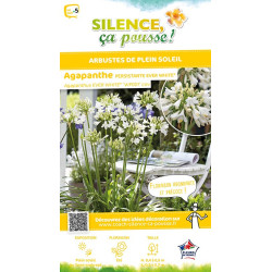AGAPANTHUS EVER WHITE R C4,5 TF/BU de Plantes Silence ça pousse dans Plantes à petits fruits (kiwi, myrtilles, groseilles, ca...