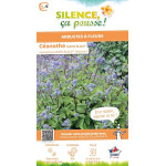 Ceanothe MARIE BLEUE 65cm Silence ca pousse de Plantes Silence ça pousse dans Arbustes caducs en livraison