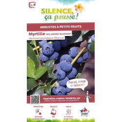 Myrtille des jardins Blue Crop Bleuet 80cm de Plantes Silence ça pousse dans Plantes à petits fruits (kiwi, myrtilles, grosei...
