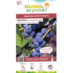 Myrtille des jardins Blue Crop Bleuet 80cm de Plantes Silence ça pousse dans Plantes à petits fruits (kiwi, myrtilles, grosei...