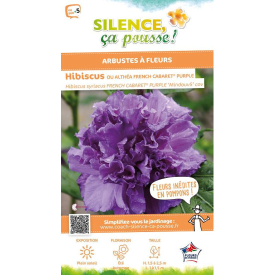 Hibiscus FRENCH CABARET PURPLE, Althea 100cm de Plantes Silence ça pousse dans Arbustes caducs en livraison